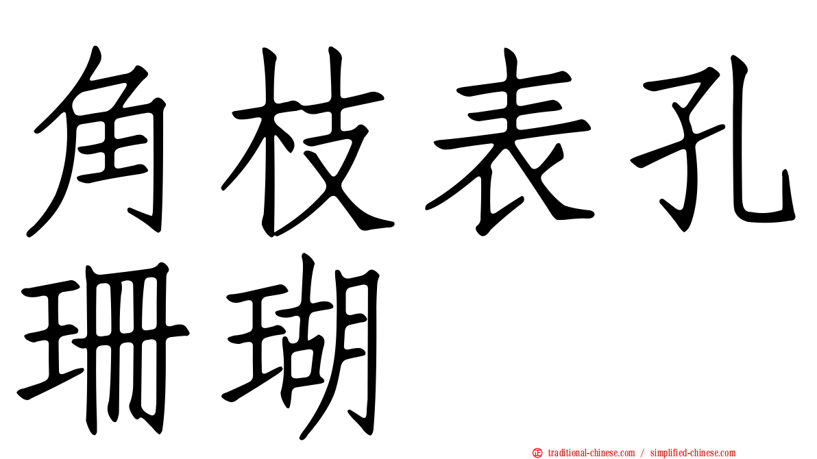 角枝表孔珊瑚