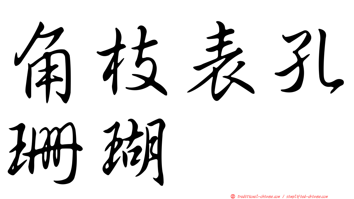 角枝表孔珊瑚