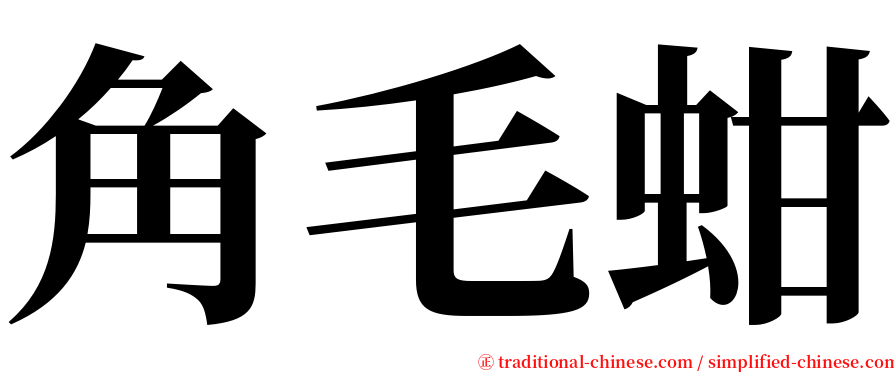 角毛蚶 serif font