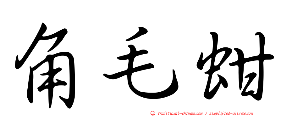 角毛蚶