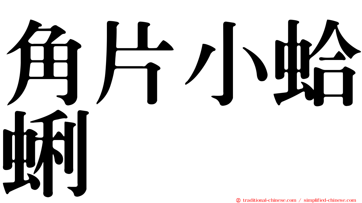 角片小蛤蜊