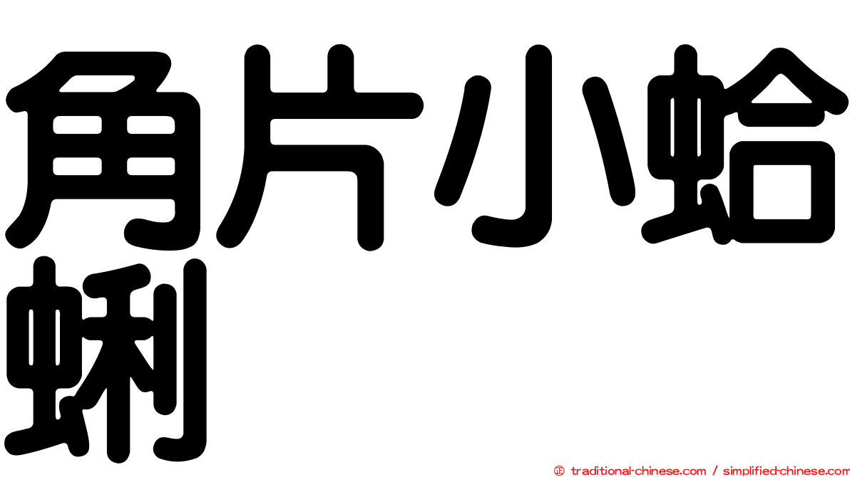 角片小蛤蜊