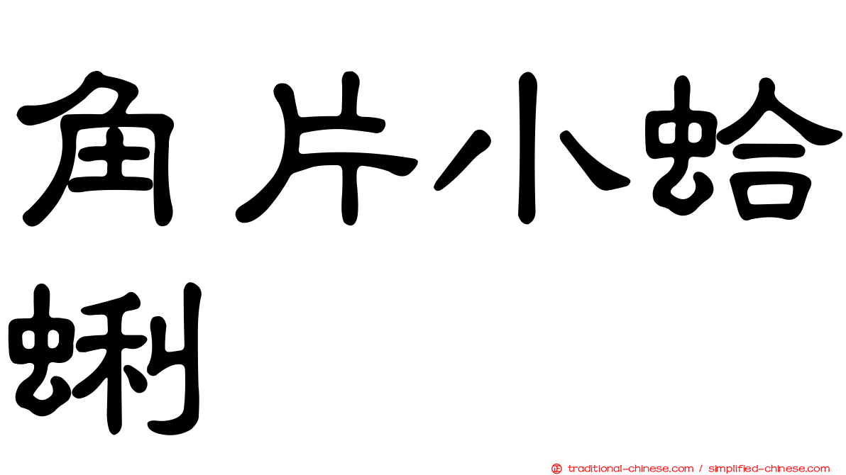 角片小蛤蜊