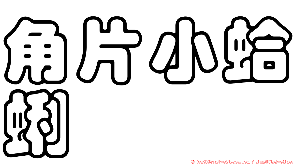 角片小蛤蜊