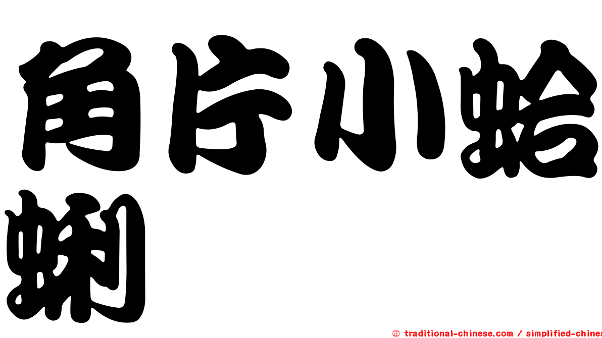 角片小蛤蜊