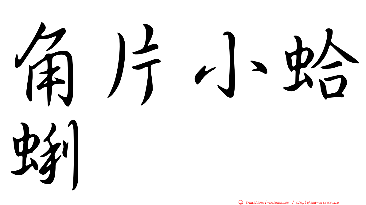 角片小蛤蜊