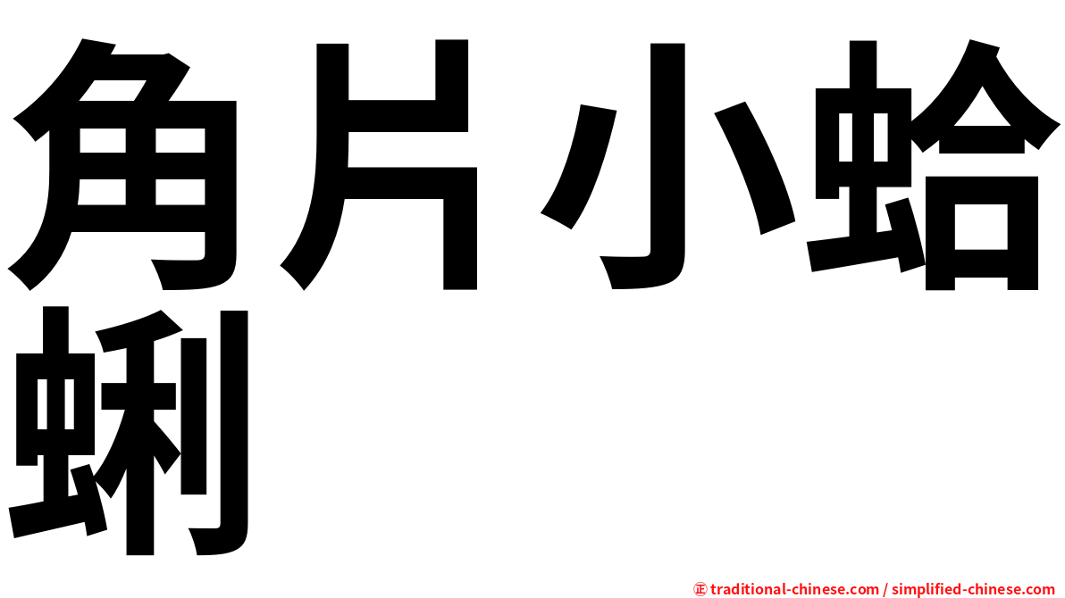 角片小蛤蜊