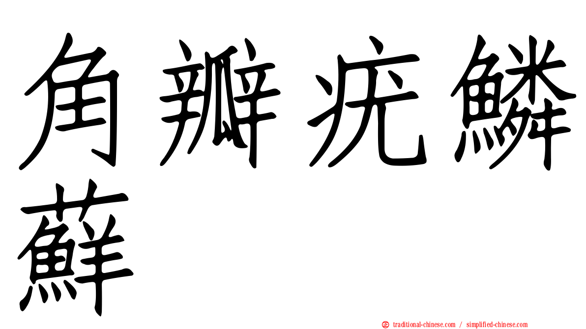 角瓣疣鱗蘚