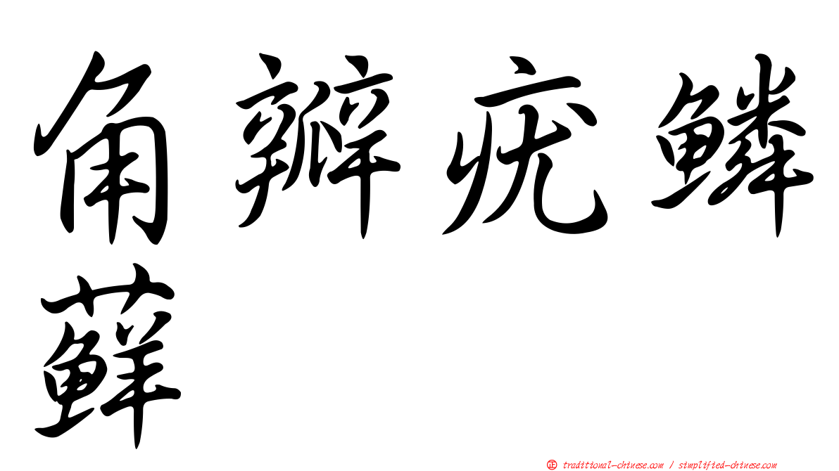 角瓣疣鱗蘚