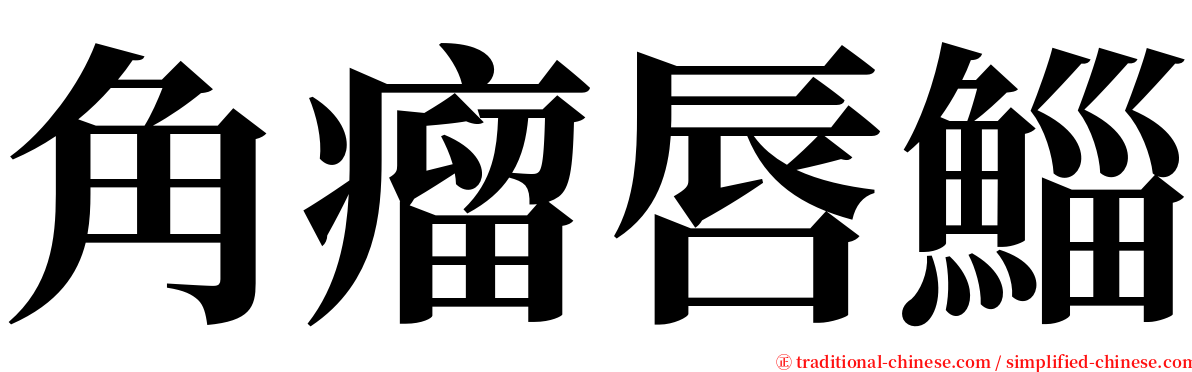 角瘤唇鯔 serif font