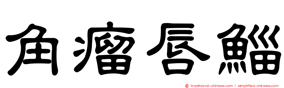 角瘤唇鯔