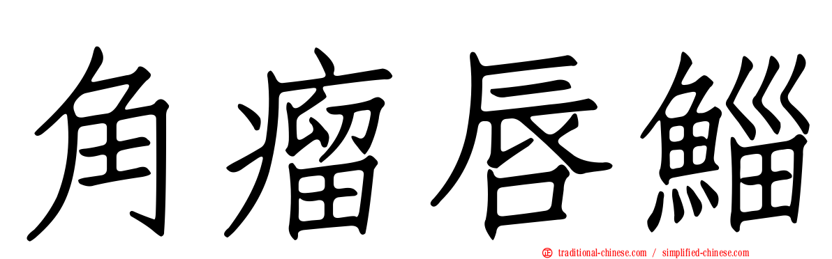 角瘤唇鯔