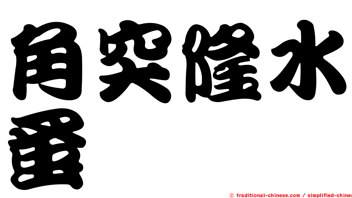 角突隆水蚤