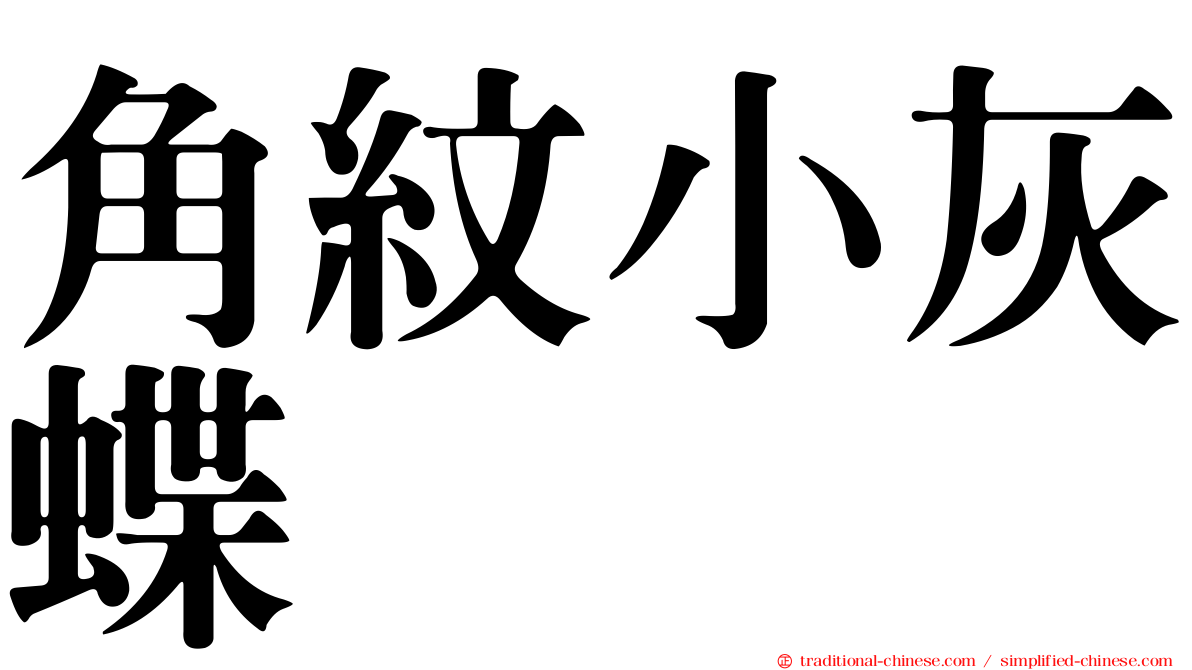 角紋小灰蝶
