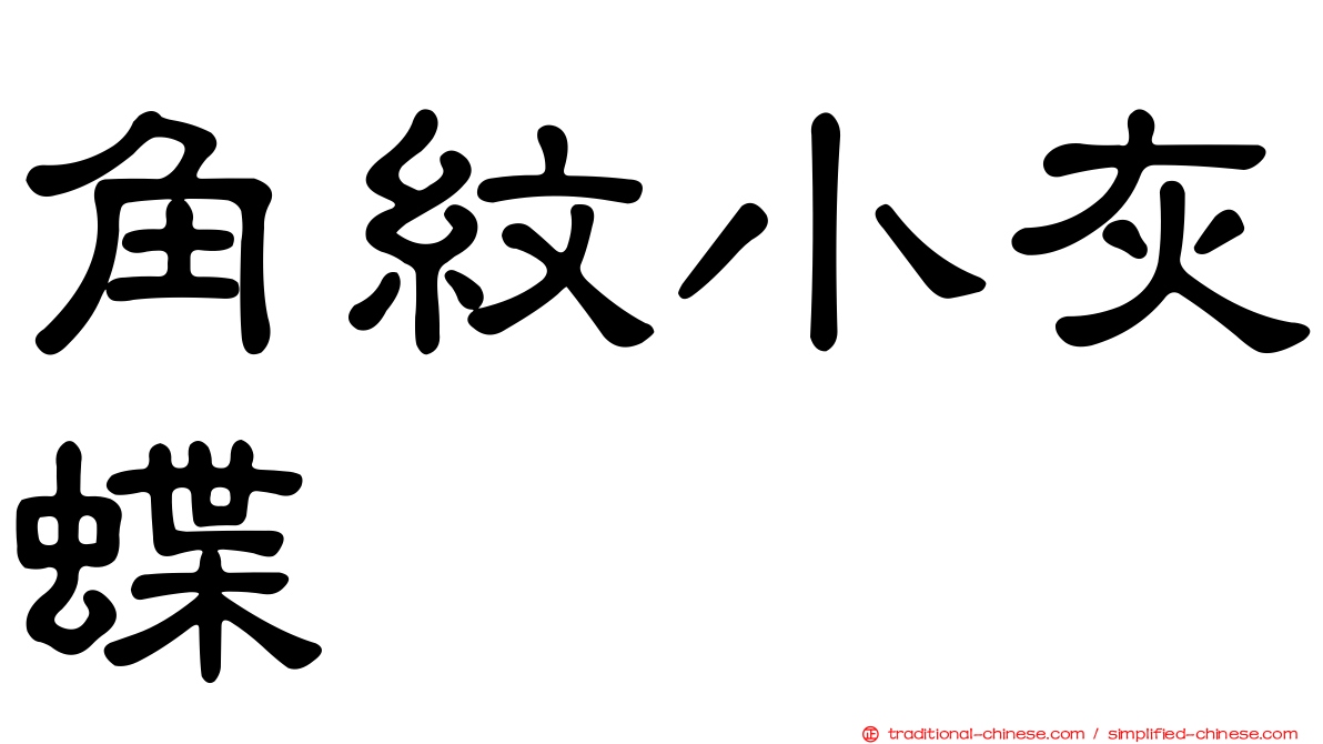 角紋小灰蝶