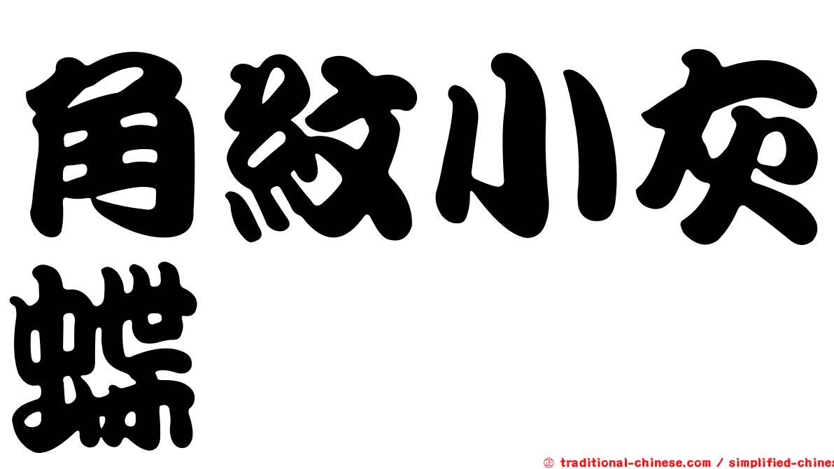 角紋小灰蝶
