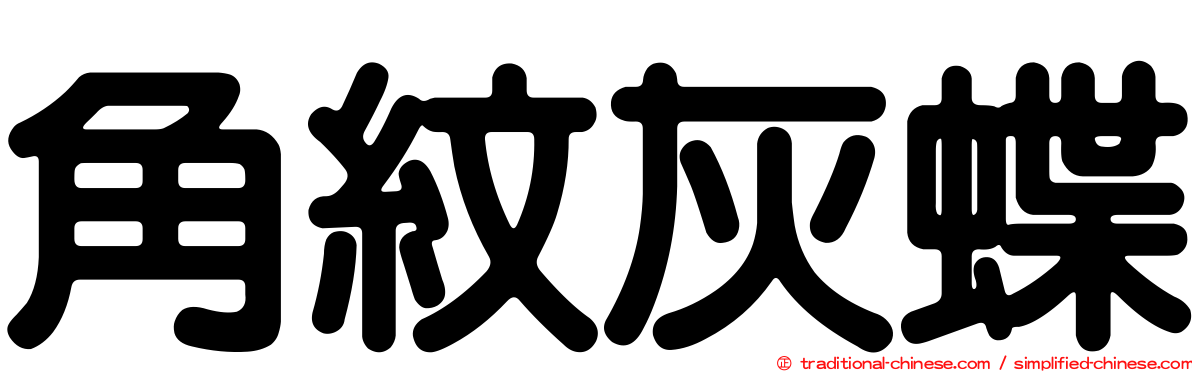 角紋灰蝶