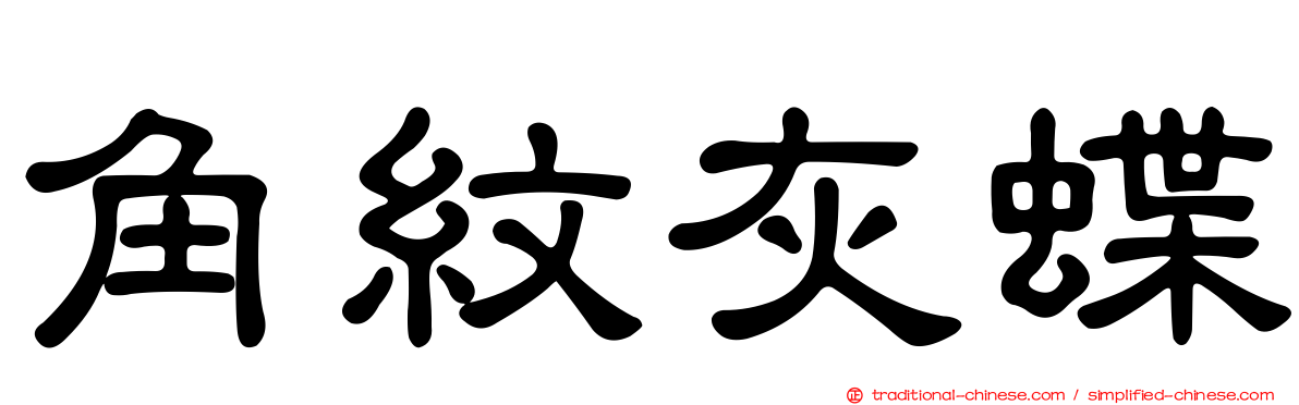 角紋灰蝶
