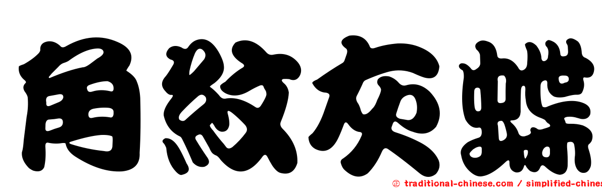 角紋灰蝶