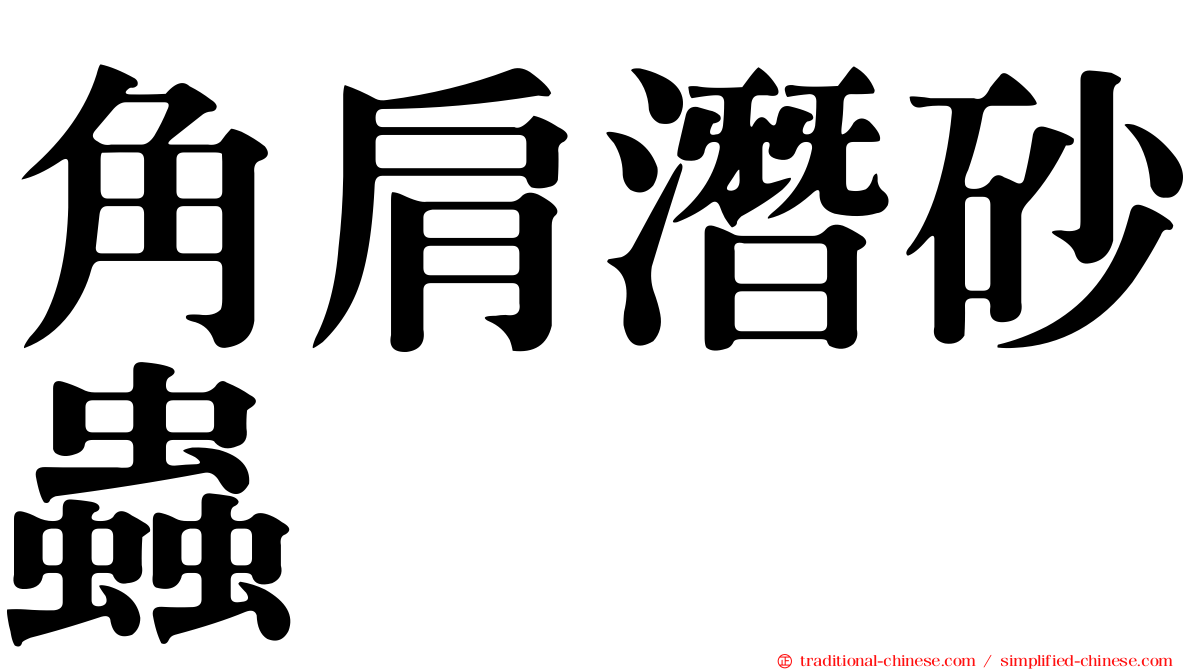 角肩潛砂蟲