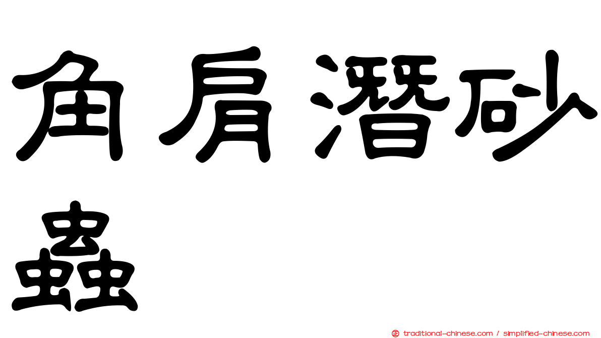角肩潛砂蟲