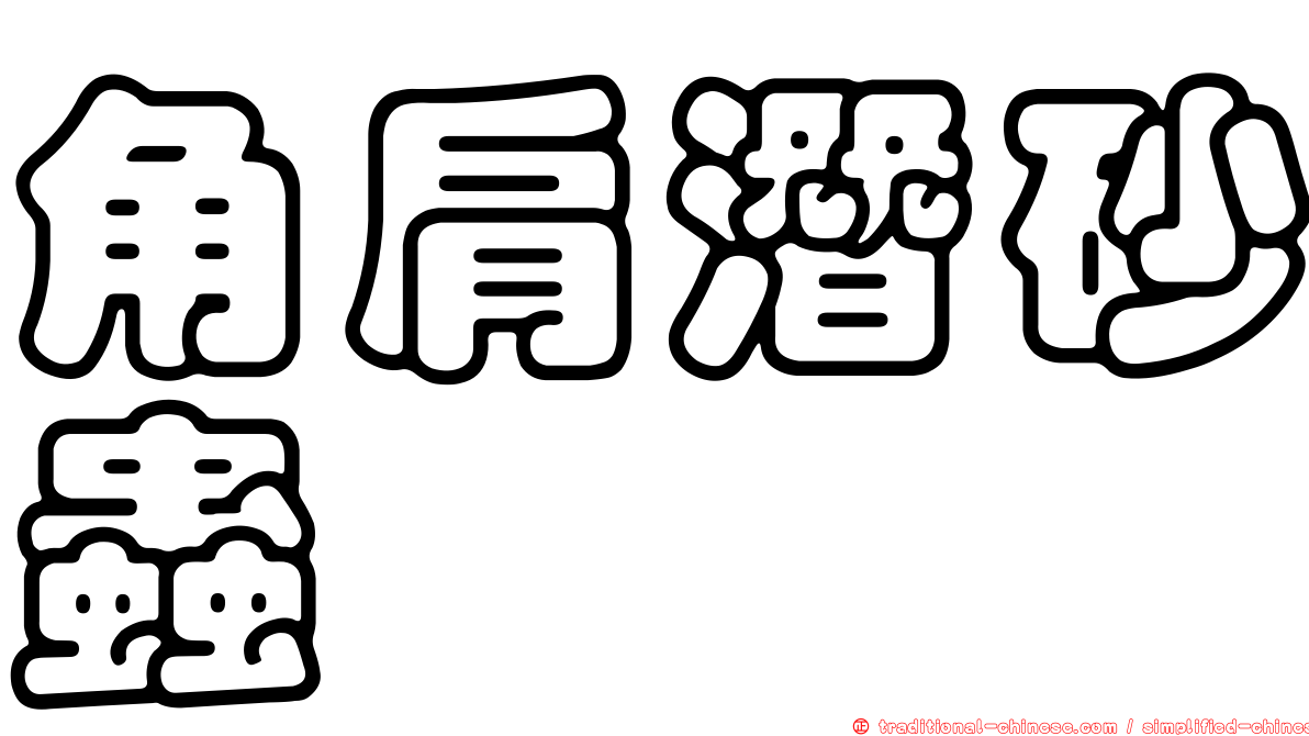 角肩潛砂蟲