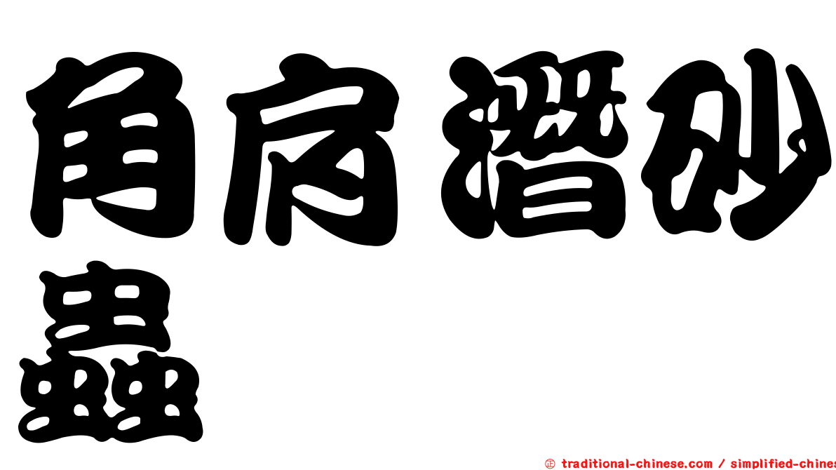 角肩潛砂蟲