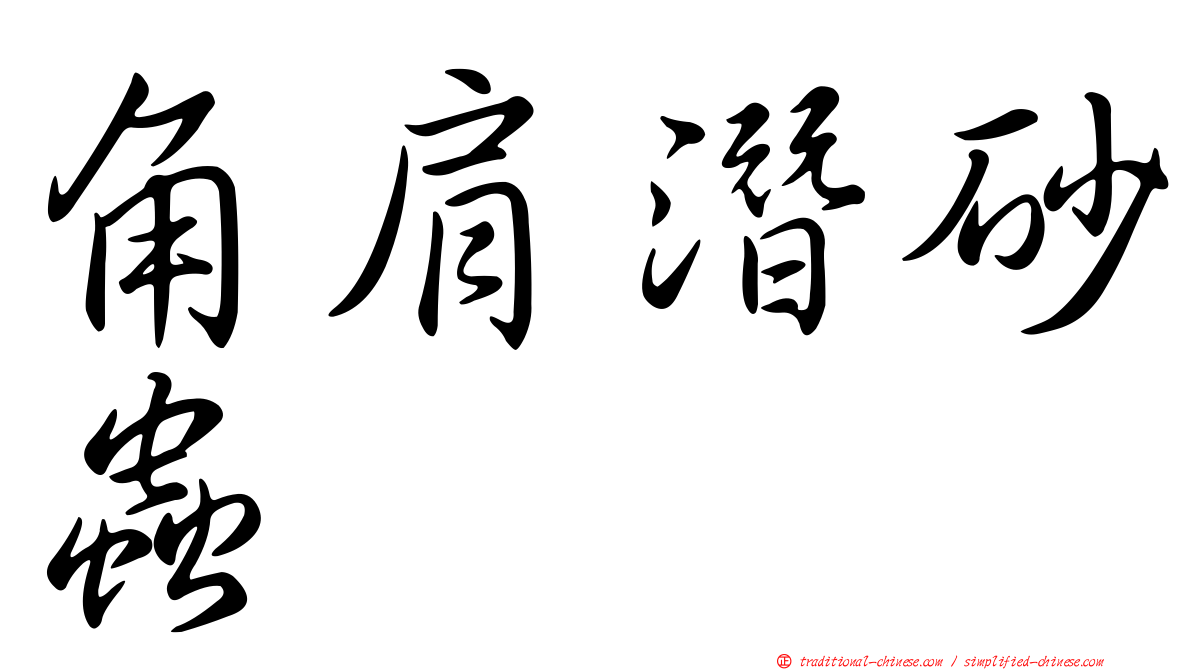 角肩潛砂蟲