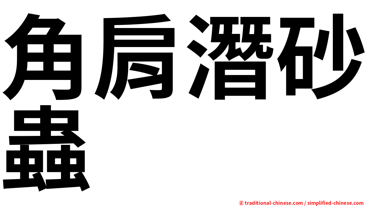 角肩潛砂蟲