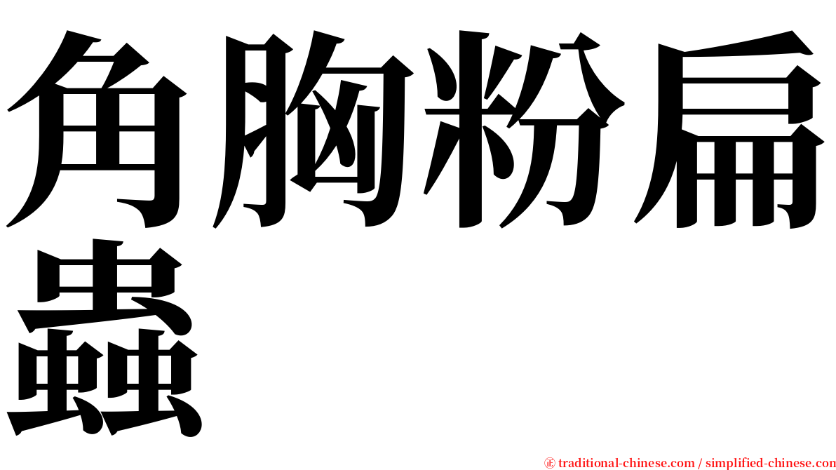 角胸粉扁蟲 serif font