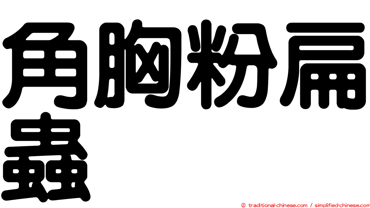 角胸粉扁蟲