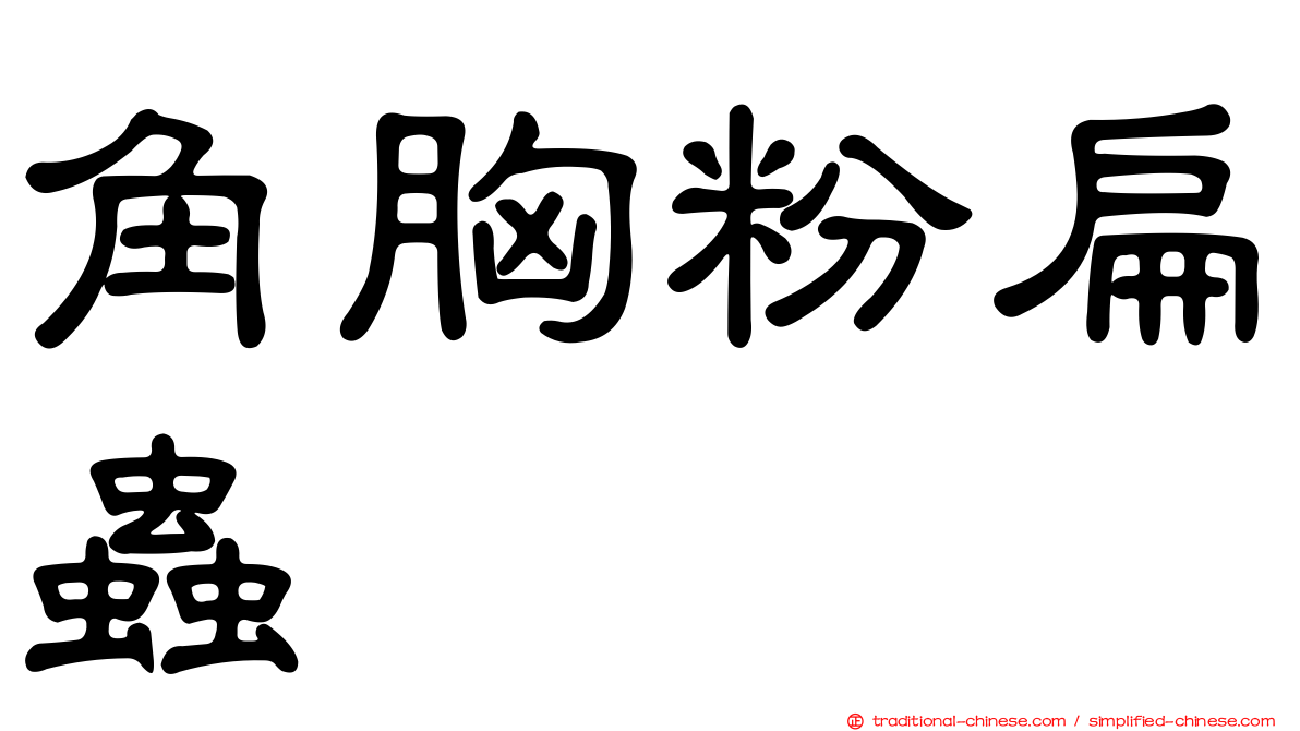 角胸粉扁蟲