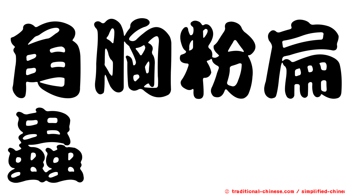 角胸粉扁蟲
