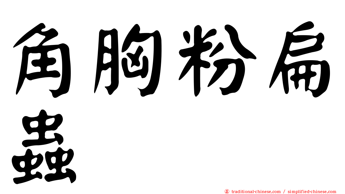 角胸粉扁蟲
