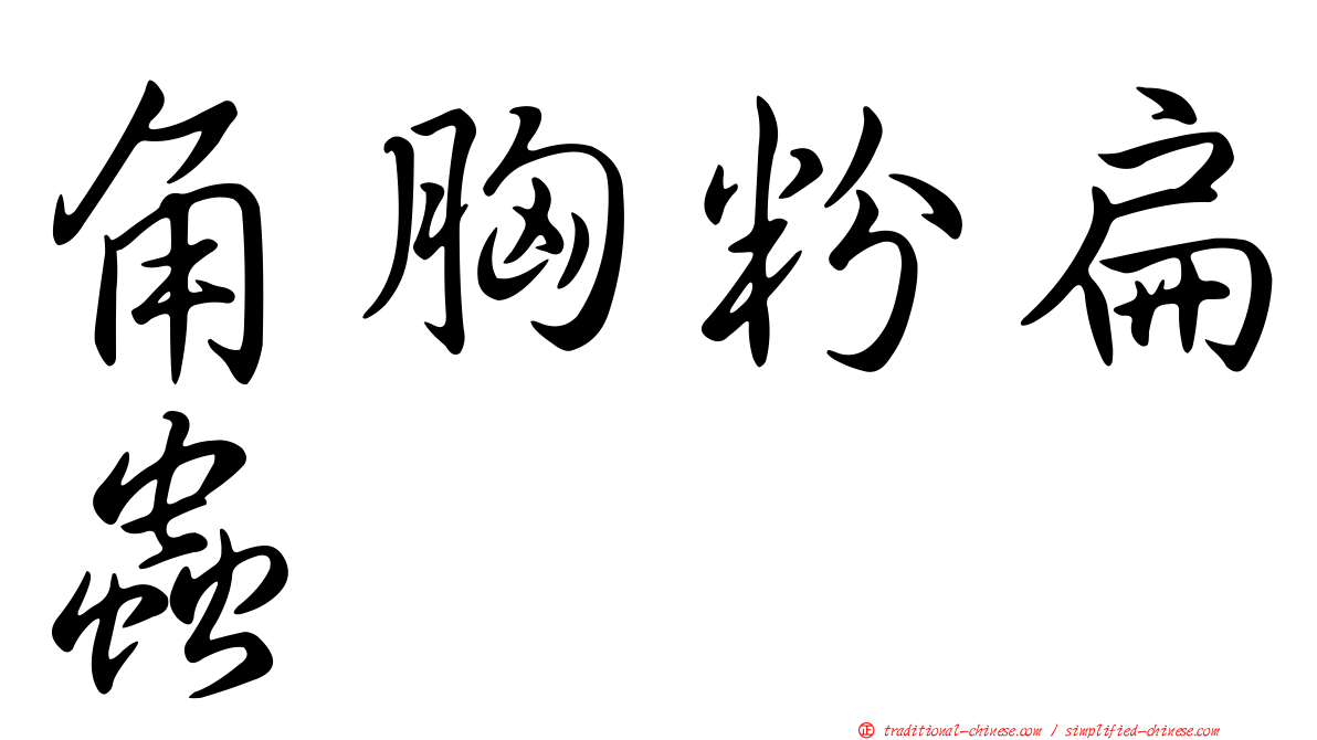 角胸粉扁蟲