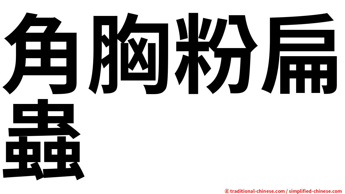 角胸粉扁蟲