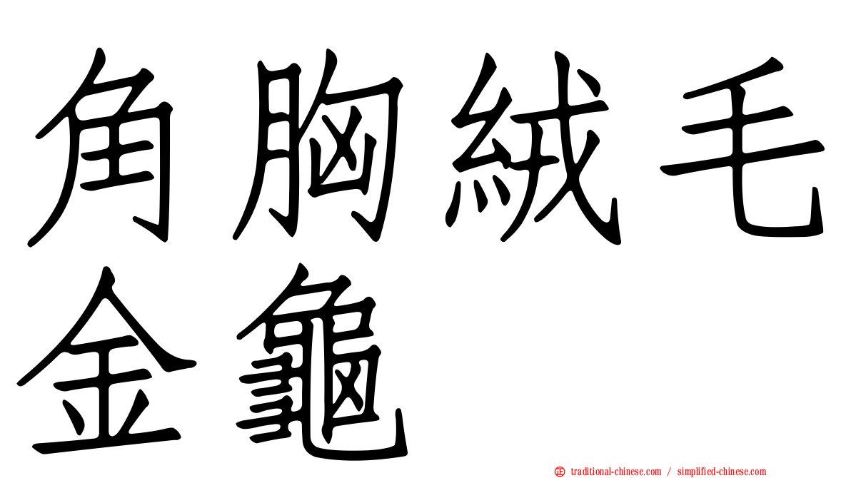 角胸絨毛金龜