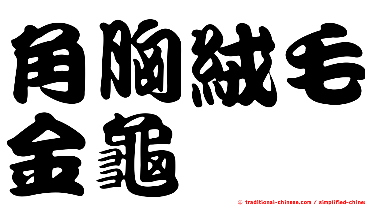 角胸絨毛金龜