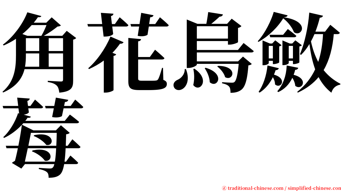 角花烏斂莓 serif font