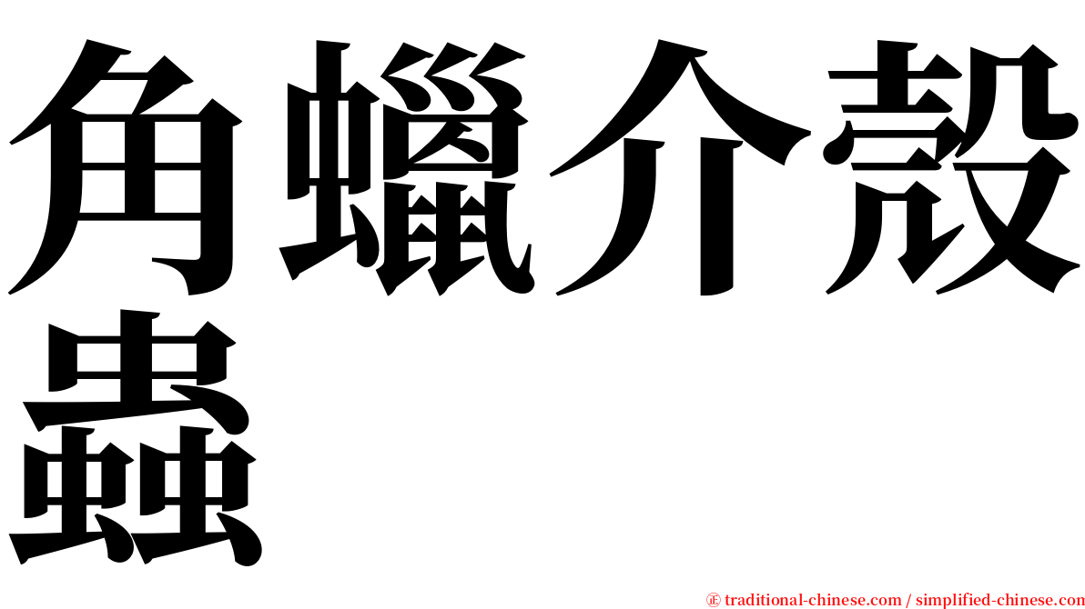 角蠟介殼蟲 serif font
