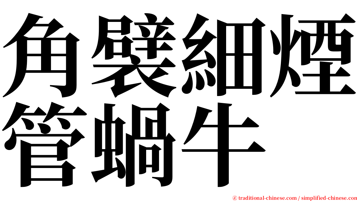 角襞細煙管蝸牛 serif font