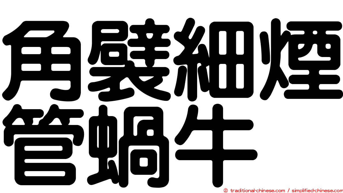 角襞細煙管蝸牛