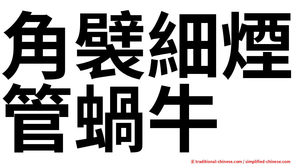 角襞細煙管蝸牛