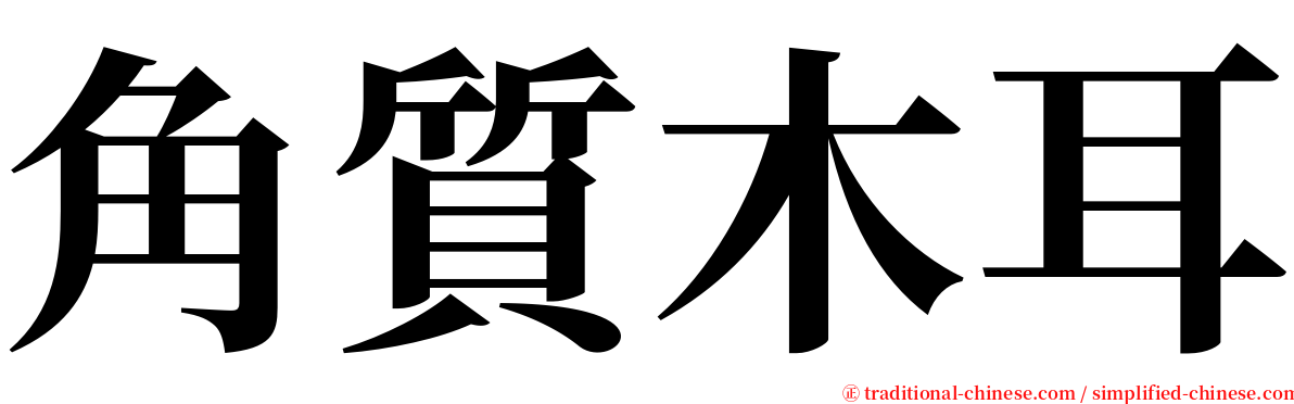 角質木耳 serif font