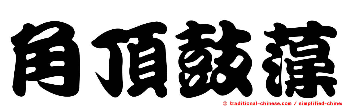 角頂鼓藻