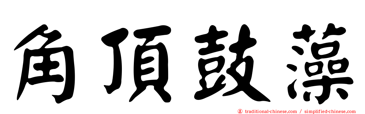 角頂鼓藻