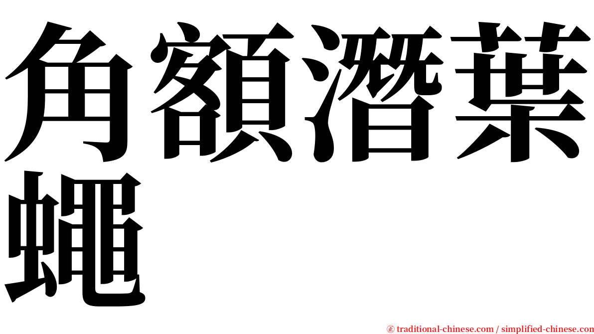 角額潛葉蠅 serif font