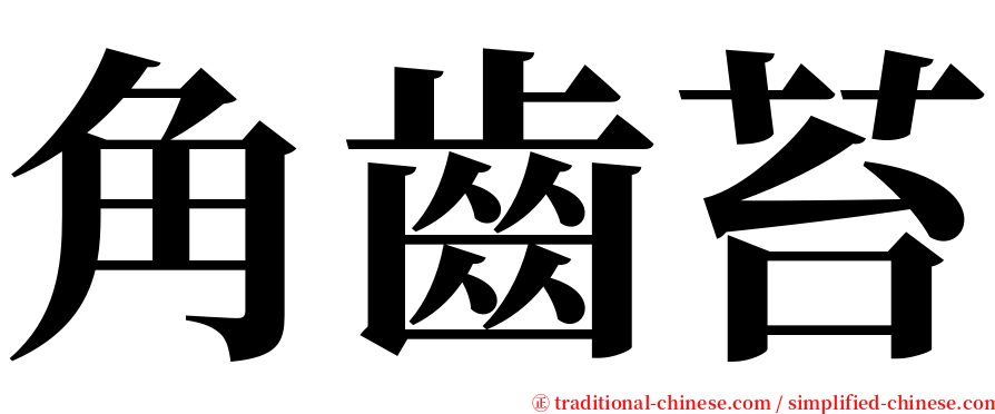 角齒苔 serif font