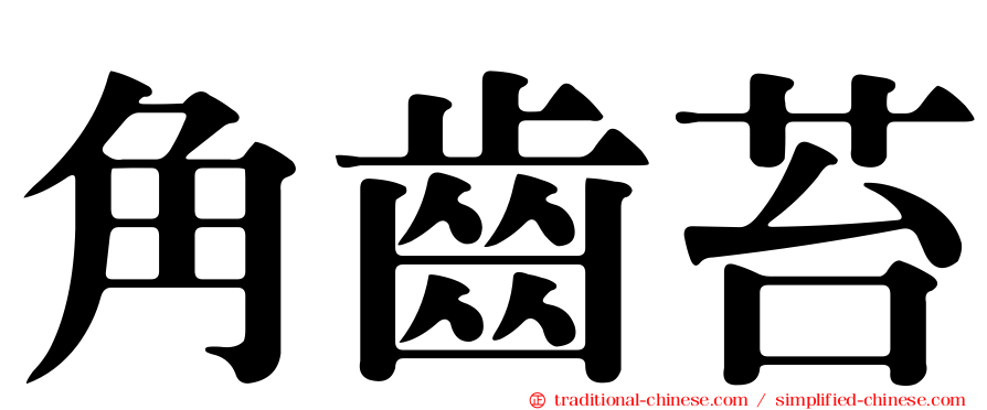 角齒苔
