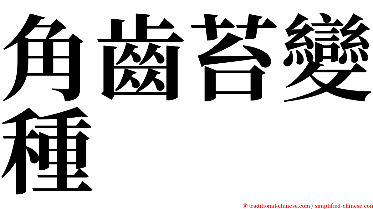 角齒苔變種 serif font
